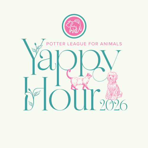 Yappy Hour 2026 - logo